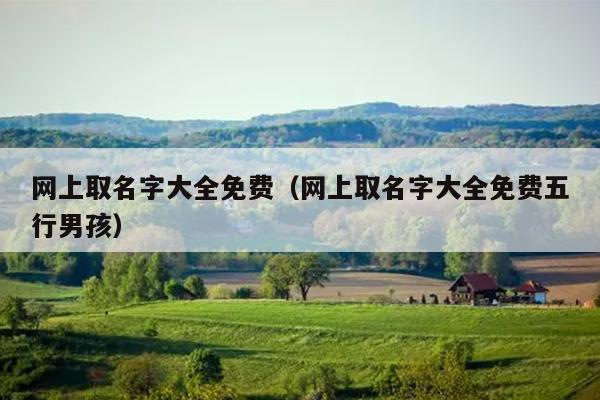 网上取名字大全免费（网上取名字大全免费五行男孩）