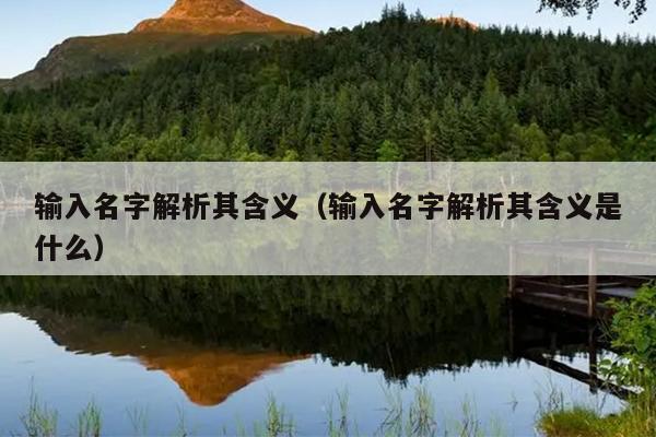 输入名字解析其含义（输入名字解析其含义是什么）