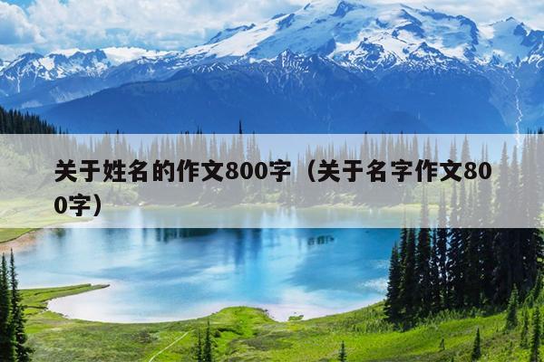 关于姓名的作文800字（关于名字作文800字）
