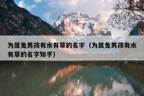 为属兔男孩有水有草的名字（为属兔男孩有水有草的名字知乎）