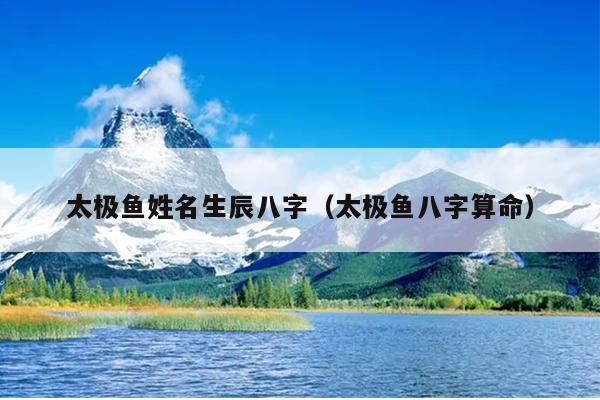 太极鱼姓名生辰八字（太极鱼八字算命）