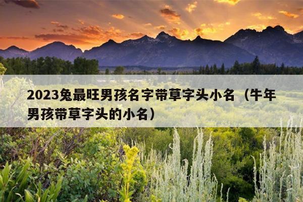 2023兔最旺男孩名字带草字头小名（牛年男孩带草字头的小名）