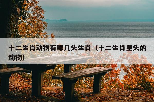 十二生肖动物有哪几头生肖（十二生肖里头的动物）