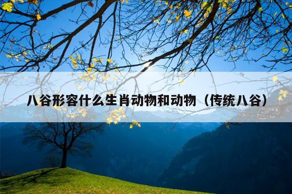 八谷形容什么生肖动物和动物（传统八谷）