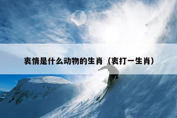 衷情是什么动物的生肖（衷打一生肖）