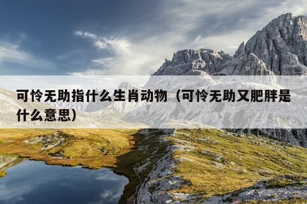 可怜无助指什么生肖动物（可怜无助又肥胖是什么意思）