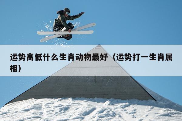 运势高低什么生肖动物最好（运势打一生肖属相）