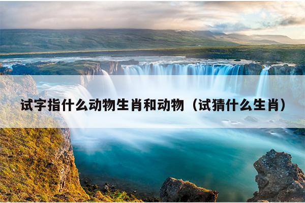 试字指什么动物生肖和动物（试猜什么生肖）