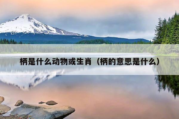 柄是什么动物或生肖（柄的意思是什么）