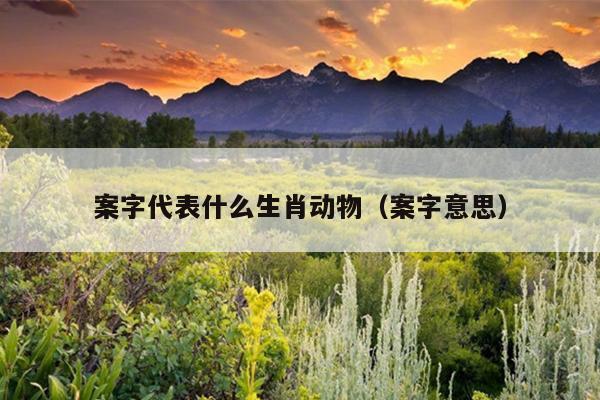案字代表什么生肖动物（案字意思）