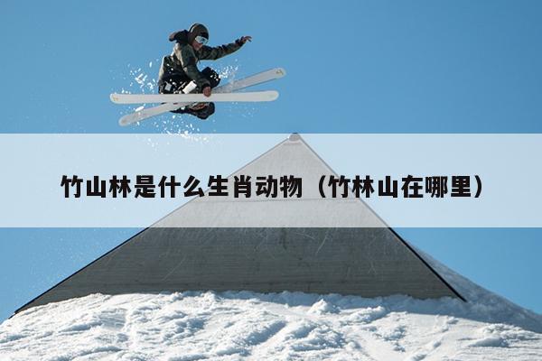 竹山林是什么生肖动物（竹林山在哪里）