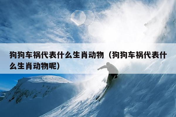 狗狗车祸代表什么生肖动物（狗狗车祸代表什么生肖动物呢）