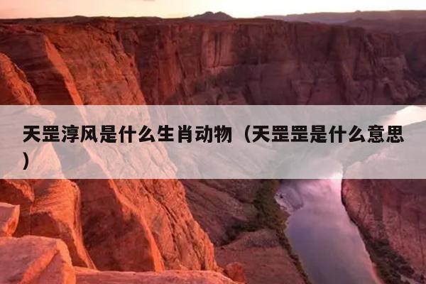 天罡淳风是什么生肖动物（天罡罡是什么意思）
