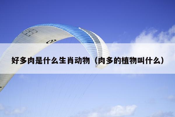 好多肉是什么生肖动物（肉多的植物叫什么）