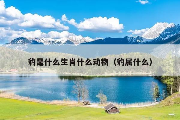 豹是什么生肖什么动物（豹属什么）
