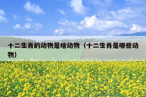 十二生肖的动物是啥动物（十二生肖是哪些动物）