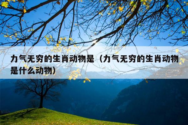 力气无穷的生肖动物是（力气无穷的生肖动物是什么动物）