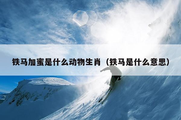 铁马加蜜是什么动物生肖（铁马是什么意思）