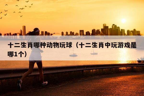 十二生肖哪种动物玩球（十二生肖中玩游戏是哪1个）