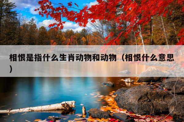 相恨是指什么生肖动物和动物（相恨什么意思）