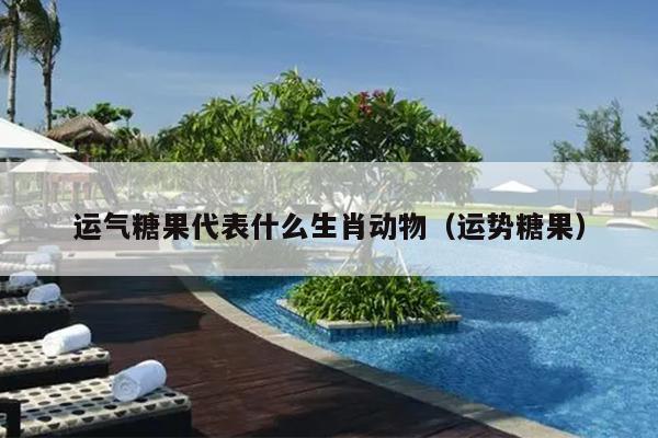 运气糖果代表什么生肖动物（运势糖果）