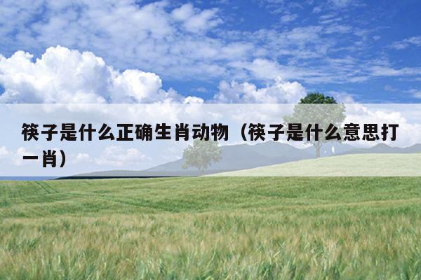 筷子是什么正确生肖动物（筷子是什么意思打一肖）