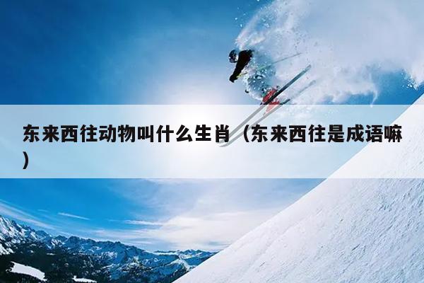 东来西往动物叫什么生肖（东来西往是成语嘛）