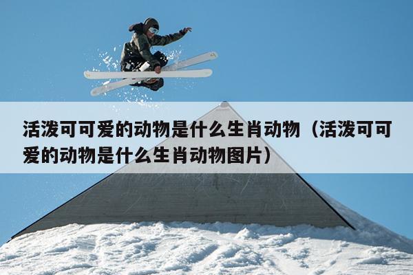 活泼可可爱的动物是什么生肖动物（活泼可可爱的动物是什么生肖动物图片）