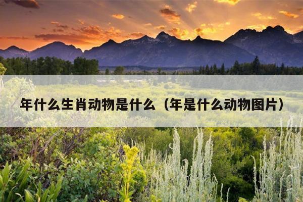 年什么生肖动物是什么（年是什么动物图片）