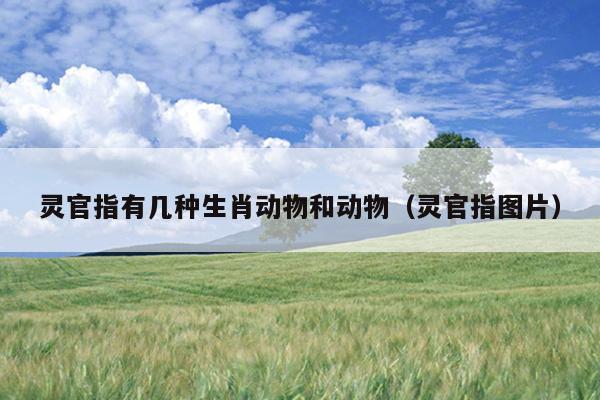 灵官指有几种生肖动物和动物（灵官指图片）