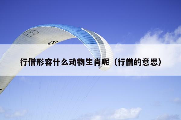 行僧形容什么动物生肖呢（行僧的意思）
