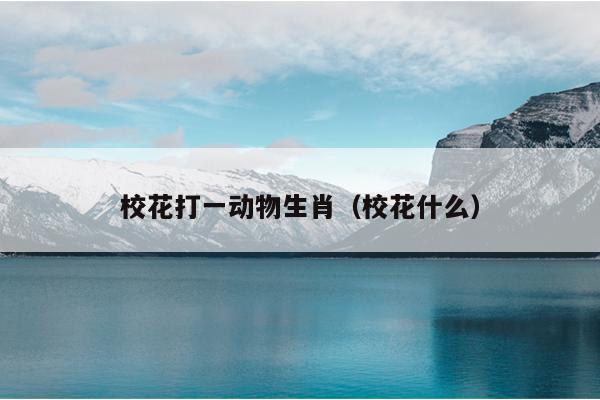 校花打一动物生肖（校花什么）