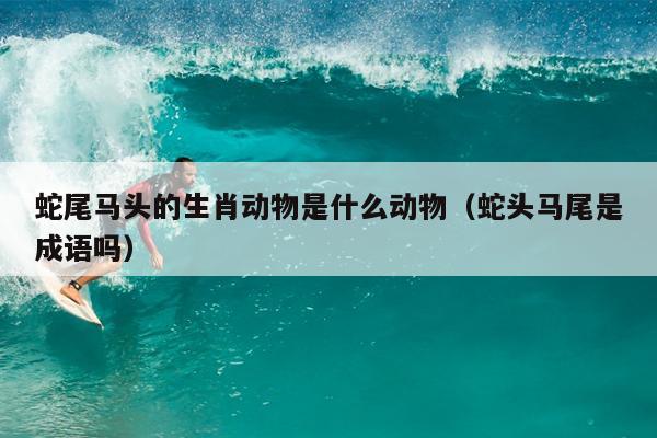蛇尾马头的生肖动物是什么动物（蛇头马尾是成语吗）