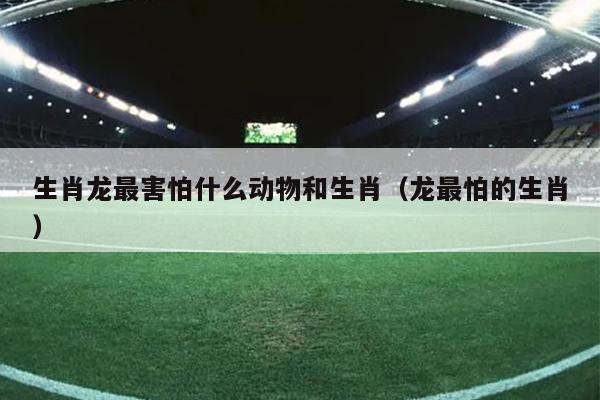 生肖龙最害怕什么动物和生肖（龙最怕的生肖）
