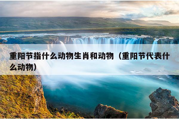 重阳节指什么动物生肖和动物（重阳节代表什么动物）