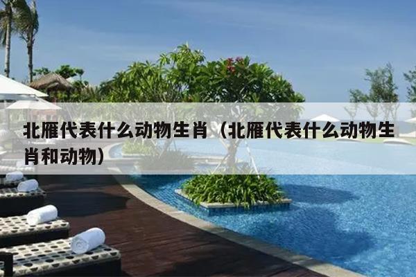 北雁代表什么动物生肖（北雁代表什么动物生肖和动物）