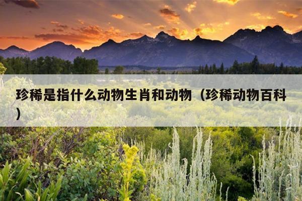 珍稀是指什么动物生肖和动物（珍稀动物百科）