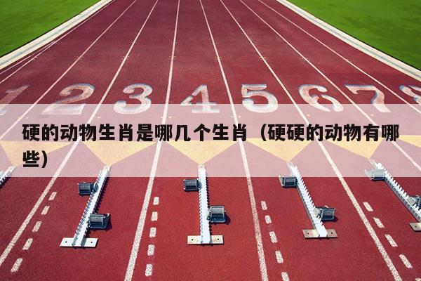 硬的动物生肖是哪几个生肖（硬硬的动物有哪些）