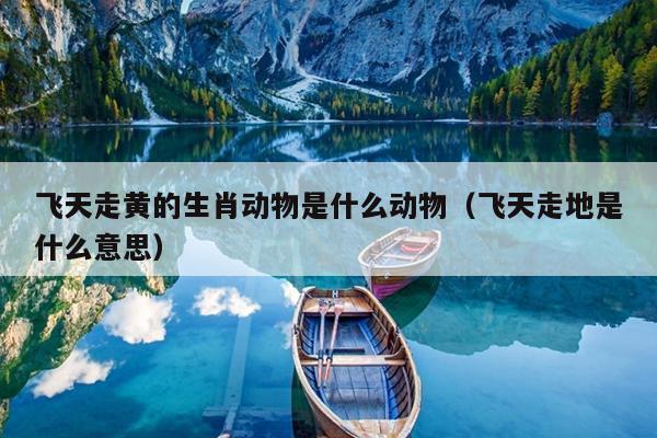 飞天走黄的生肖动物是什么动物（飞天走地是什么意思）
