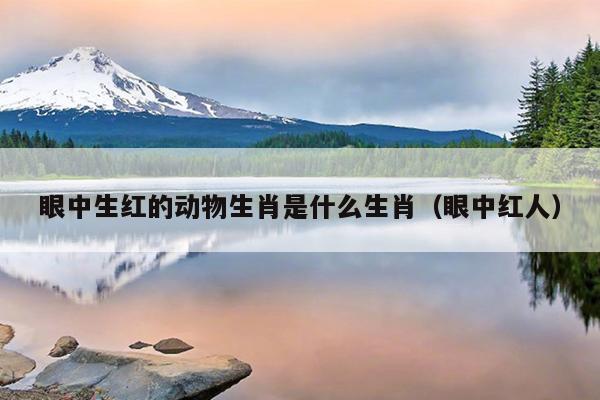 眼中生红的动物生肖是什么生肖（眼中红人）