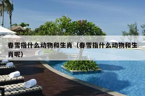 春雪指什么动物和生肖（春雪指什么动物和生肖呢）