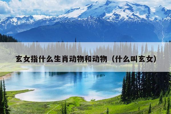 玄女指什么生肖动物和动物（什么叫玄女）