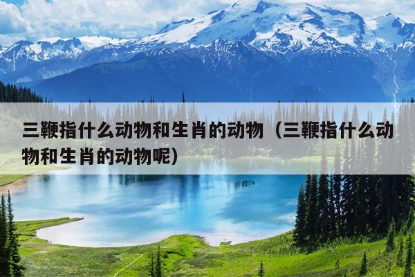 三鞭指什么动物和生肖的动物（三鞭指什么动物和生肖的动物呢）