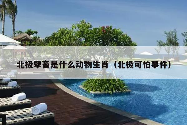 北极孽畜是什么动物生肖（北极可怕事件）