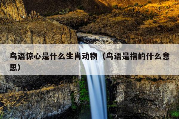 鸟语惊心是什么生肖动物（鸟语是指的什么意思）
