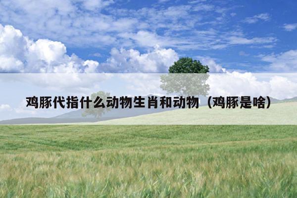 鸡豚代指什么动物生肖和动物（鸡豚是啥）