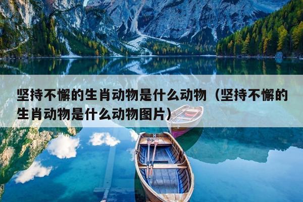 坚持不懈的生肖动物是什么动物（坚持不懈的生肖动物是什么动物图片）