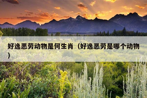 好逸恶劳动物是何生肖（好逸恶劳是哪个动物）