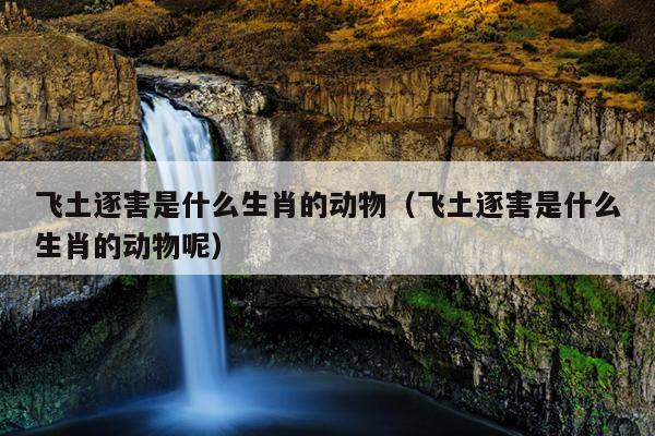 飞土逐害是什么生肖的动物（飞土逐害是什么生肖的动物呢）