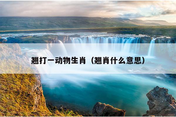 翘打一动物生肖（翘肖什么意思）